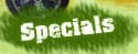 atlanta painting services